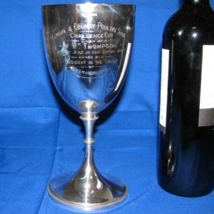 Silver Presentation/ Cup Goblet