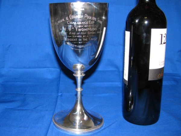 Silver Presentation/ Cup Goblet